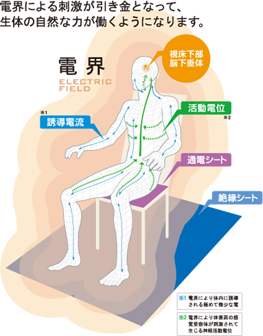 体表面の感覚受容器への刺激作用